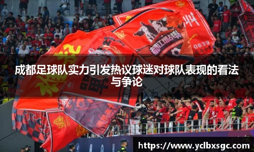成都足球队实力引发热议球迷对球队表现的看法与争论